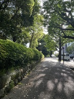 4/25出勤しました🌸