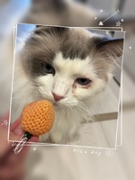 ぽぬさんのひとりごと🐾