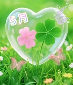 ５月