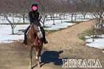 お馬さん生活🐴🥕