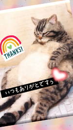 オヒルダヨ！トオレイ