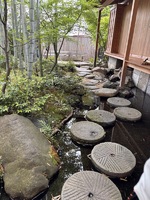 🎋