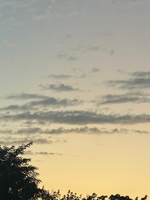 オ◎ニーは我慢して💗