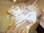 おやすみなさい🌙
