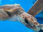 水族館♡