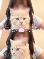 にゃんにゃ🐈
