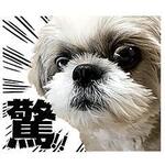 今日は