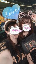 甲子園なう