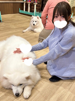 ‎🤍 一期一会