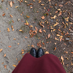 秋🍁