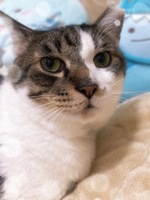 りょうか（ていくぷらいど.学園）の写メ日記「明日登校です！」 画像