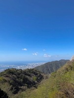 神崎　今日子（アマテラス）の写メ日記「おはようです」 画像