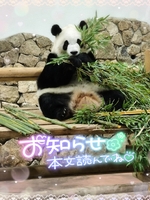 さやか（ぽちゃぽちゃイケてる）の写メ日記「📢大切なお知らせ📢」 画像