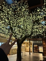 汐美 るる（キュアル神戸）の写メ日記「人工木の下で🎄🫶」 画像