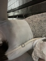 めい【VIP】（クラブロイヤル）の写メ日記「嬉しかったこと( ᴖ ̫ᴖ )♩」 画像