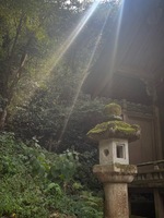 神崎　今日子（アマテラス）の写メ日記「おはようです」 画像