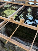 神崎　今日子（アマテラス）の写メ日記「おはようです」 画像